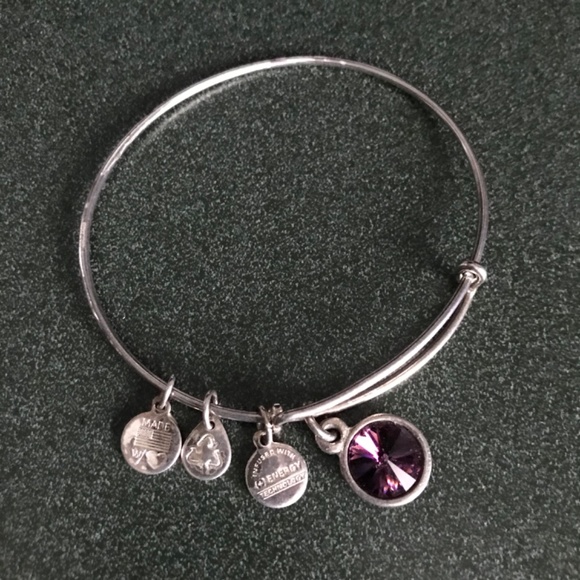 Alex and Ani Expandable Wire Bracelet - Picture 4 of 11